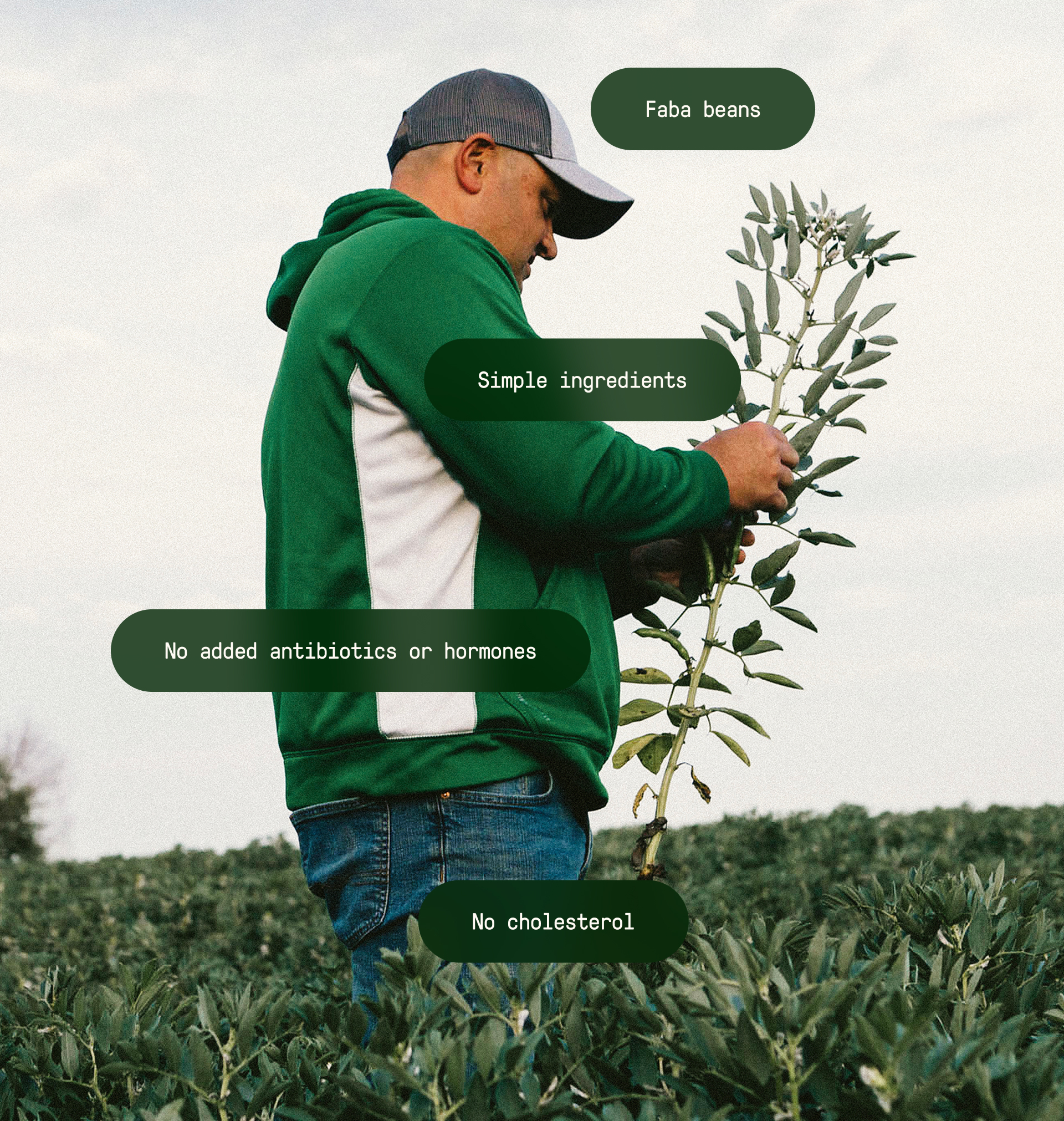 No Cholesterol;Faba bean protein;Avocado Oil;Simple ingredients;No antibiotics or hormones